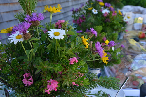 Besuch auf der Alpe SterisKardinal Lorenzo Baldisseri, Generalsekret?r der BischofssynodeDi?zesanbischof Dr. Benno ElbsNuntiuas Peter Stephan Zurbriggen Nuntiaturrat Msgr. George PanamthundilDekan Hubert LenzMathias BitscheJosef und Antonella