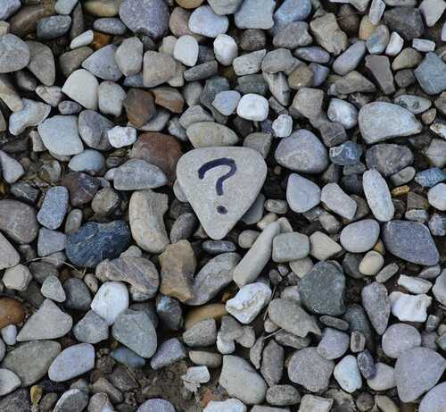 unsplash.com / Ana Municio